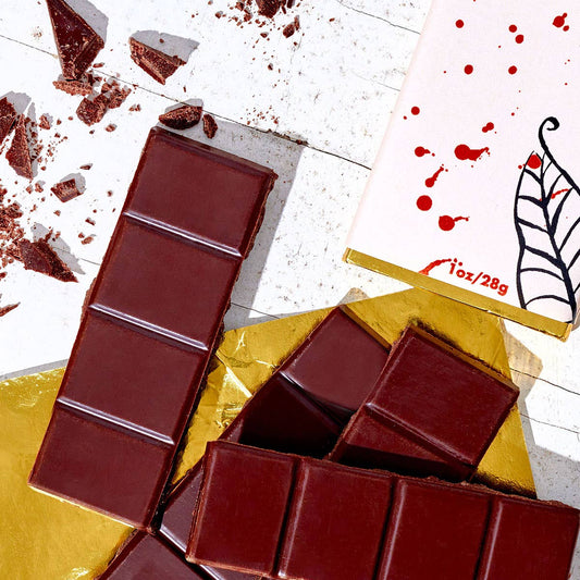Fine & Raw Brooklyn Bonnie Sea Salt Chocolate Bar